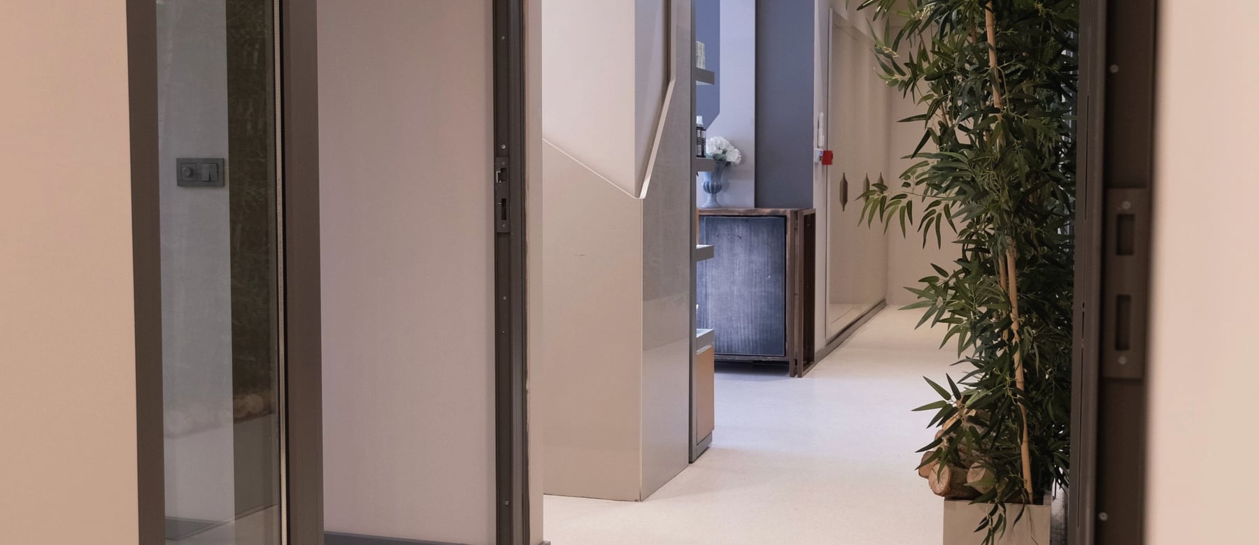 A quiet, plant-lined corridor between consulting rooms.